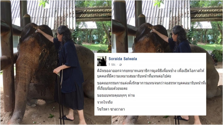 'โซไรดา'ประกาศลาออกจากเลขาฯมูลนิธิเพื่อนช้าง