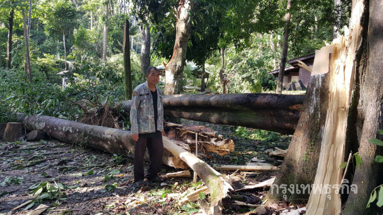 เร่งเคลียร์ต้นไม้ล้ม27ต้นที่น้ำตกโตนงาช้าง เผยหนักสุดรอบ30ปี