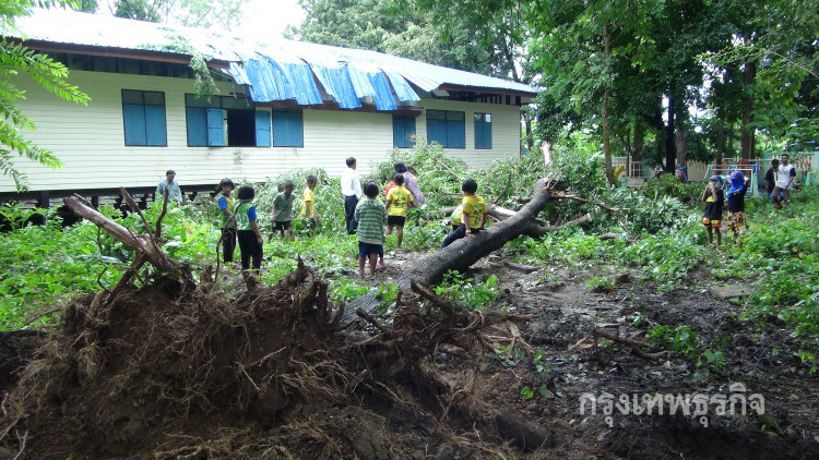 พายุฝนกระหน่ำพัดต้นโมกใหญ่อายุกว่า 50 ปีโค่นล้มทับอาคารเรียน
