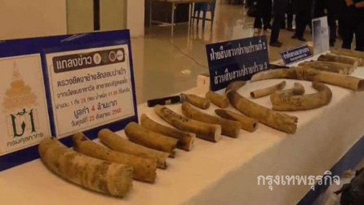 แถลงผลการตรวจยึดงาช้างมูลค่ากว่า 4 ล้าน ที่สุวรรณภูมิ