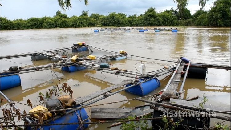 ผลพวงน้ำท่วมตรัง ทำปลากระชังตายเกลื่อน