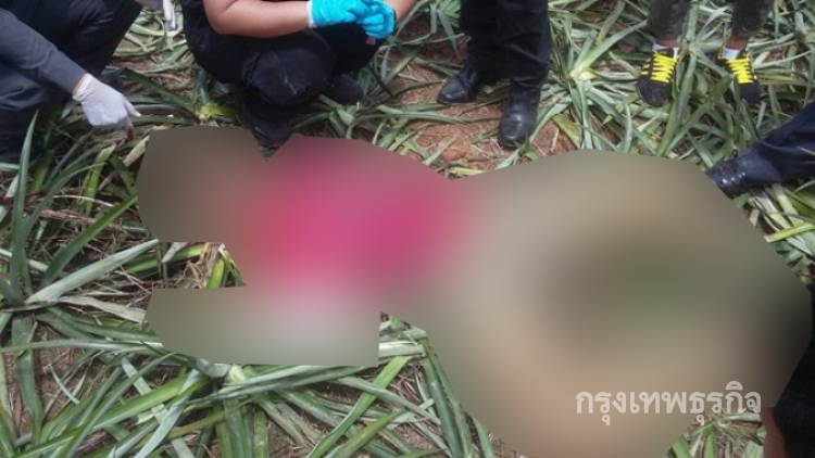 หนุ่มนิรนามถูกยิงขมับ ทิ้งกลางสวนสับปะรด