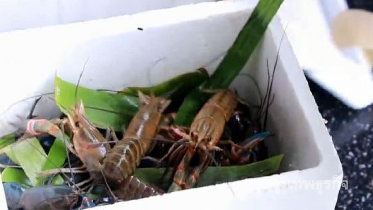 จี้เอาผิดตุ๋นแชร์ลูกโซ่กุ้งก้ามแดง เสียหาย 30 ล้าน