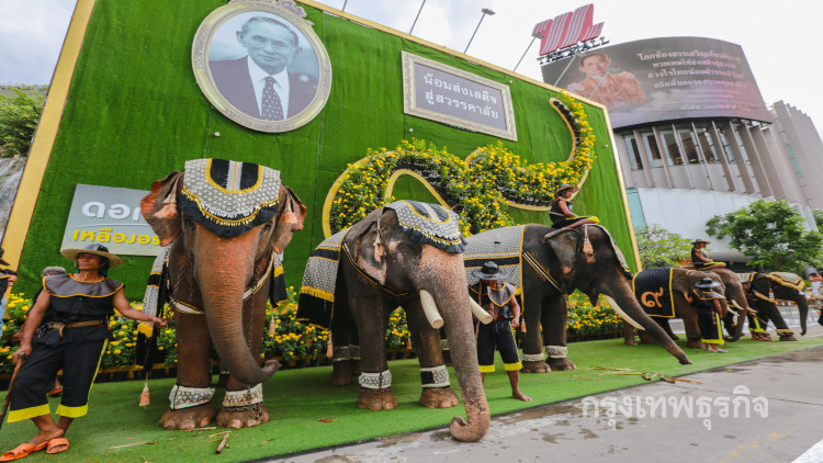 ช้าง 9เชือก ร่วมทำบุญตักบาตร อาลัยในหลวง ร.9 สวรรคตครบ 1ปี
