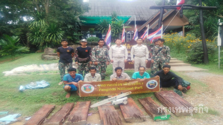 จับเขมรแบกไม้พะยูง 11 แผ่นออกจากป่าปางสีดา