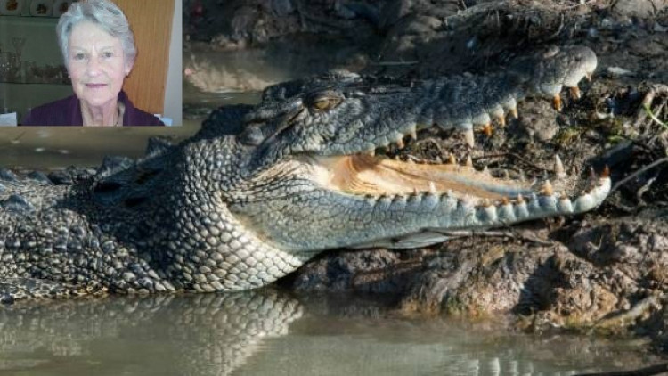 ออสเตรเลียพบศพหญิงชราในท้องจระเข้ยักษ์