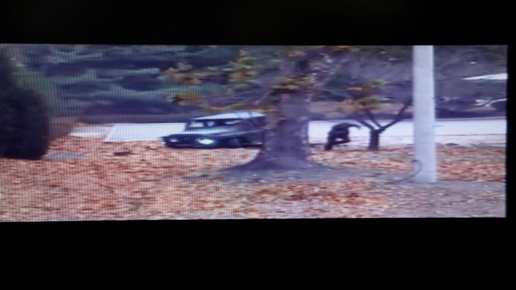 ระทึก! ทหารโสมแดงหนีตายข้ามพรมแดน