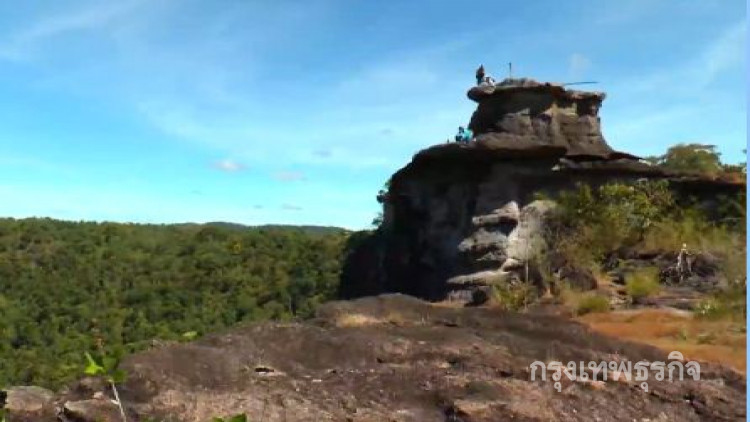 ชมความงามหลากสีสันลานดอกไม้ป่า วนอุทยานน้ำตกผาหลวง