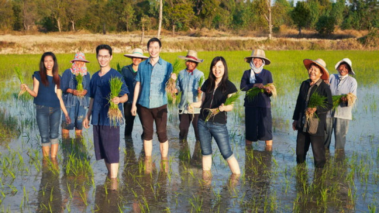 สยามออร์แกนิค สตาร์ทอัพขวัญใจชาวนา