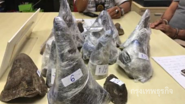 รวบหนุ่มเวียดนาม ลักลอบนำเข้านอแรดมูล50ล้าน