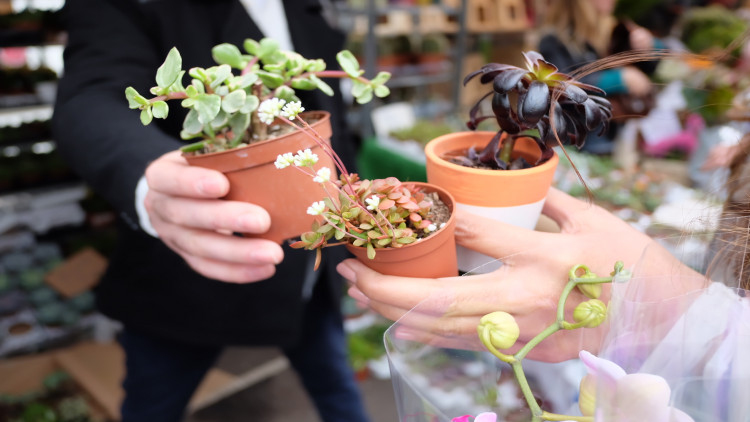 กลิ่นไอรักที่ Columbia Flower Market London