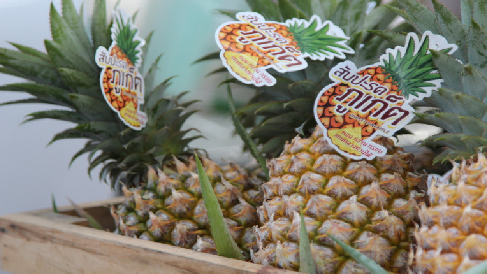 เปิดจองแล้ว! สุดยอดสับปะรดภูเก็ต ลูกละ 1,543 บ.