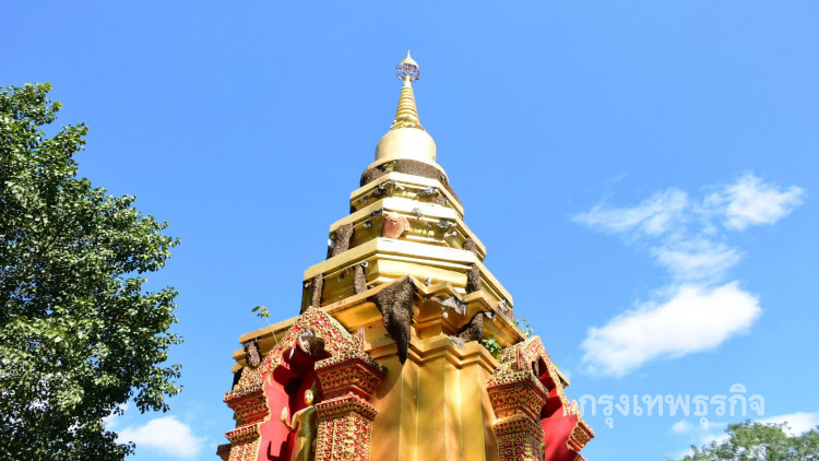 อึ้ง! รังผึ้งเกาะเต็มอุโบสถ-พระธาตุ วัดป่าเก่าแก่เชียงราย