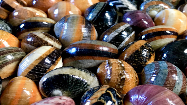 โอ้ว ! หอยน้ำพริก