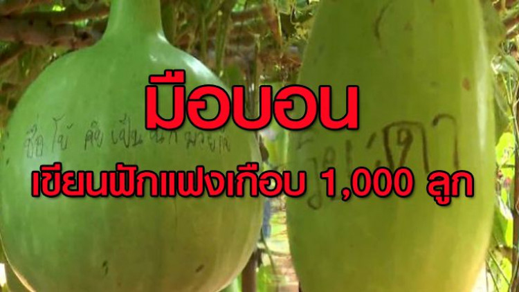 มือบอนเขียนคำหยาบฟักแฟงเกือบ 1,000 ลูก