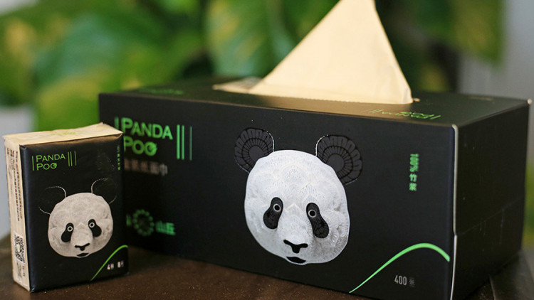 บ.จีนเล็งผลิตกระดาษชำระจากมูลแพนด้า