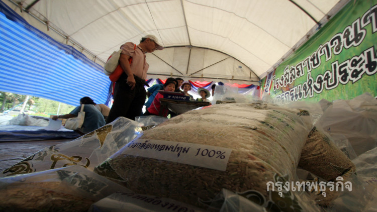 รายงานราคาข้าวขายส่งตลาดกรุงเทพฯ (5 ม.ค.61)
