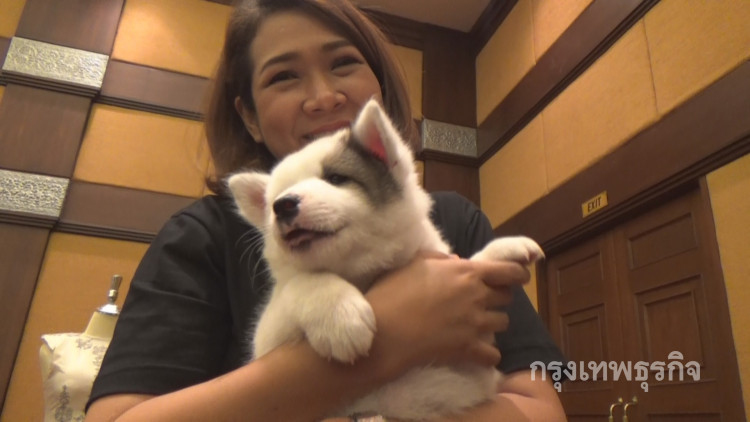 'หมาบางแก้ว' เนื้อหอมทั่วไทย อยากได้คอกเดียวกับนายกฯ