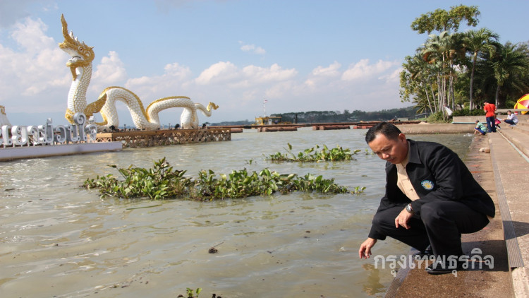 อากาศแปรปรวน ปลากว๊านพะเยาติดโรคอื้อ 