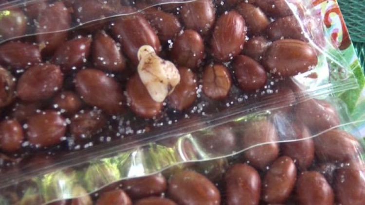 หนุ่มตั้งวงดื่มสุรากินถั่วกับแกล้ม เคี้ยวเจอฟันคนปนอยู่