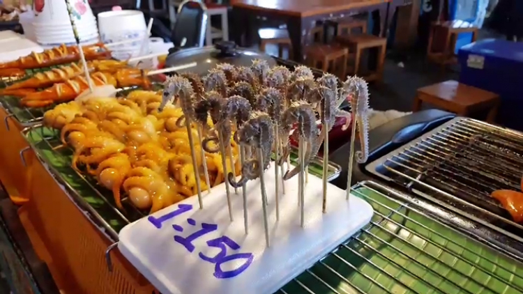 สั่งปิดกิจการ ร้านขาย 'ม้าน้ำย่าง' ทำเสียภาพลักษณ์ท่องเที่ยว 