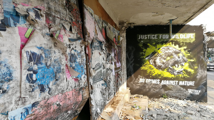 กราฟฟิตี้ ขยี้สังคม