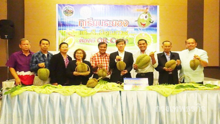 ระยองติดคิวอาร์โค้ดทุเรียน ป้องกันนำทุเรียนอ่อนออกขาย