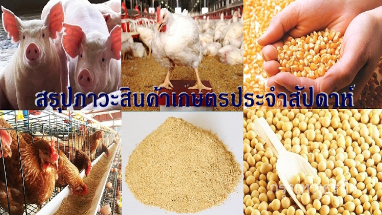 สรุปภาวะสินค้าเกษตรประจำสัปดาห์วันที่ 7 - 11 พฤษภาคม 2561