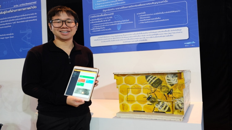 'ไอโอที’ไขปริศนาผึ้งแตกรัง 