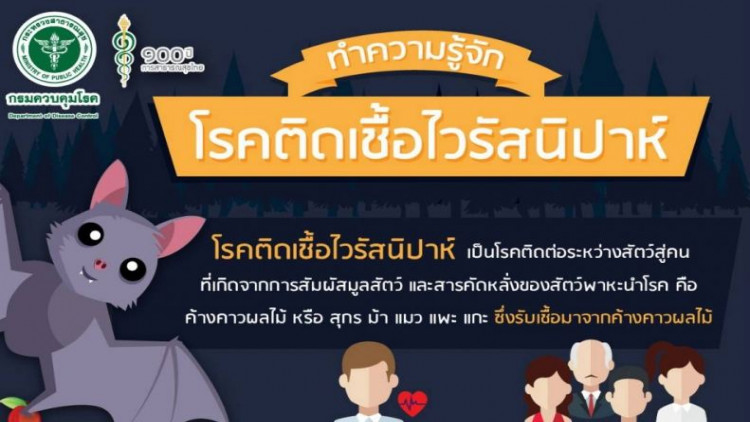 ไทยยังไม่พบผู้ป่วยนิปาห์ 