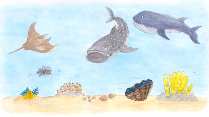 การ์ตูนสื่อความหมายธรรมชาติ เมธิรา เกษมสันต์