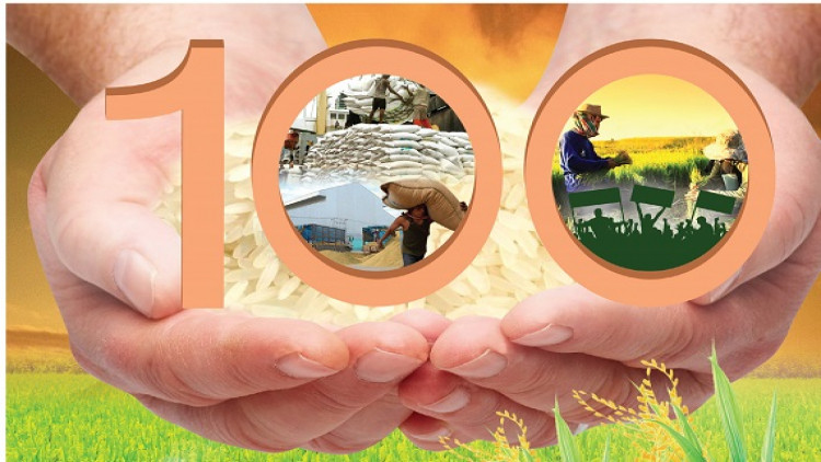 ถอดบทเรียนร้อยปี ดันข้าวไทย"โตแกร่ง"