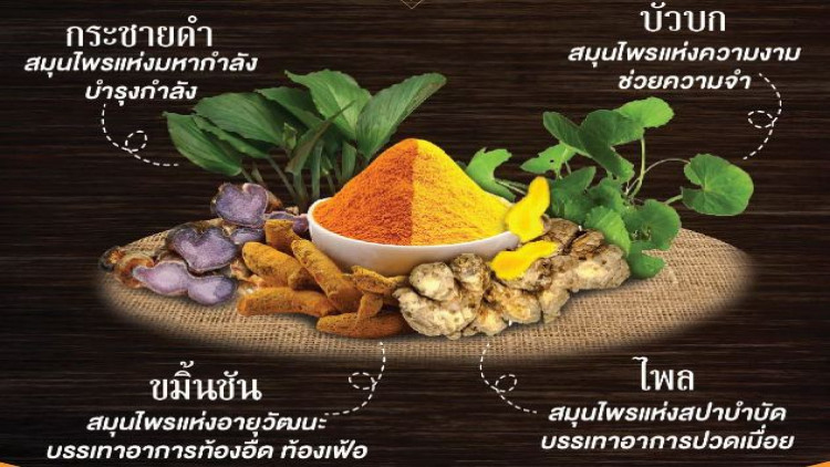 รัฐบาลเตรียมผลักดัน 4 สุดยอดสมุนไพรเชิงเศรษฐกิจ ก. พบ ข. 