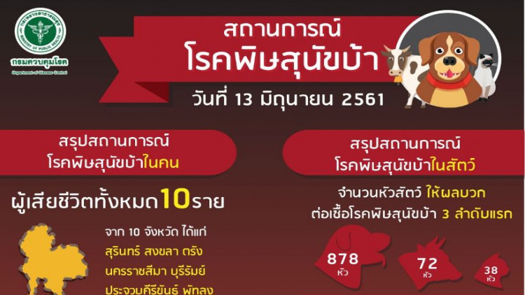 พบผู้เสียชีวิตจากโรคพิษสุนัขบ้ารายที่ 10 