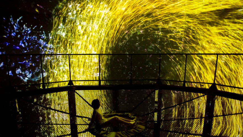 ทีมแล็บ บอร์เดอร์เลส พิพิธภัณฑ์ศิลปะไร้พรมแดน