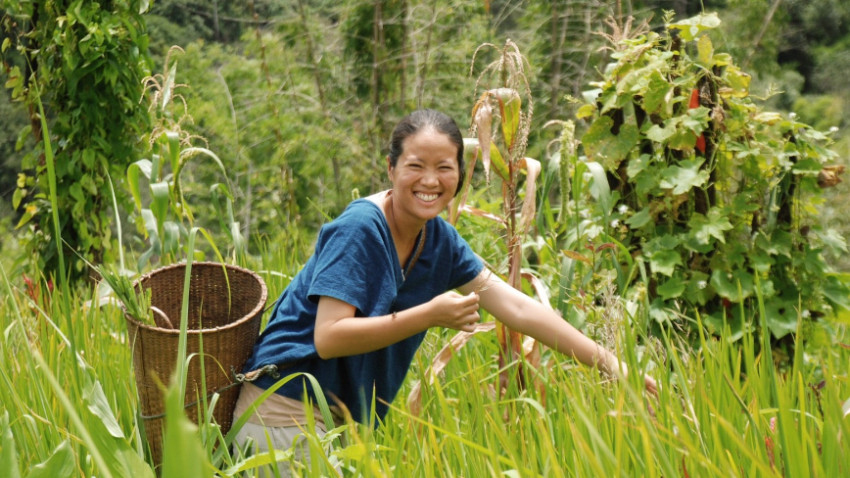 รื่นรมย์ในไร่ เกษตรหัวใจชุมชน