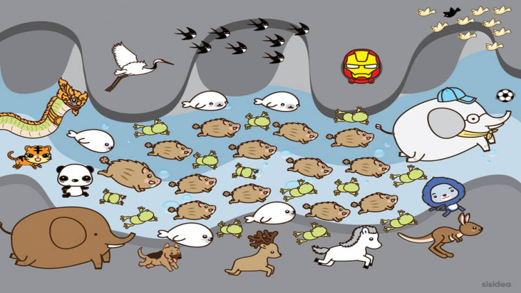 ชาวเน็ตแห่แชร์! ภาพ 'การเดินทางของหมูป่า...สู่อ้อมอกของครอบครัว'