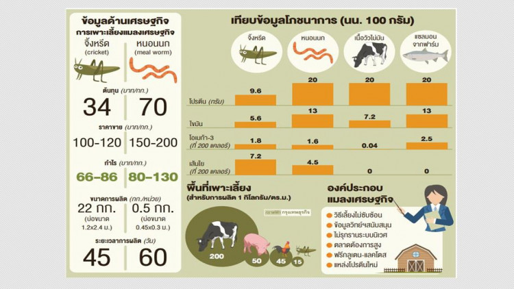 'ฟาร์มแมลง' อาชีพรายได้สูง-ต้นทุนต่ำ