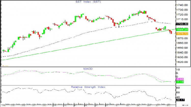 AFTERNOON CALL ACTION NOTES (15 ส.ค.61)