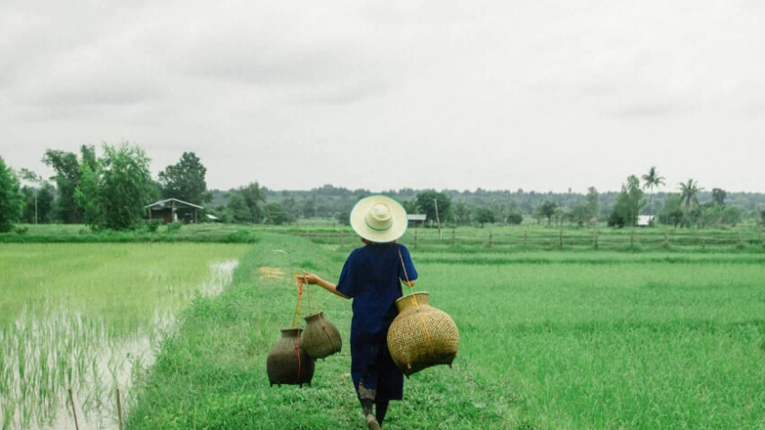 เลือกยโสธรเป็นเมืองน่าอยู่ปี 61