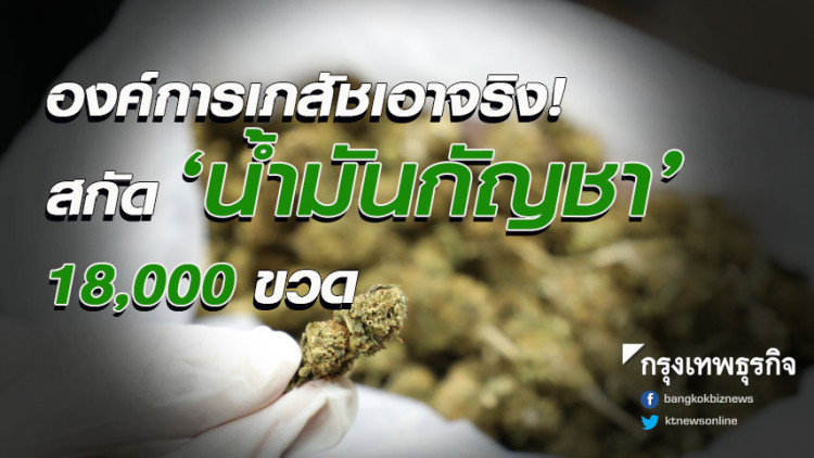 อภ.รับมอบกัญชาของกลาง เดินหน้าวิจัยทางการแพทย์