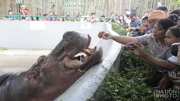 ปชช.แห่เที่ยวส่งท้ายสวนสัตว์ 'เขาดิน' วันสุดท้าย