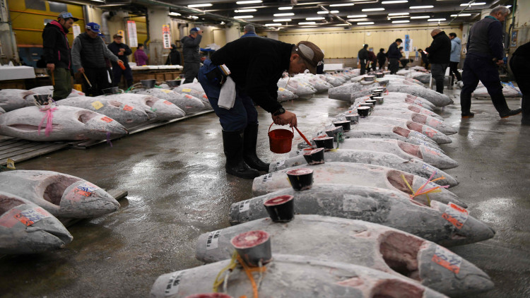 เปิดตัวเลขในตำนาน 'อำลาตลาดสึกิจิ' ตลาดปลาใหญ่ที่สุดของโลก