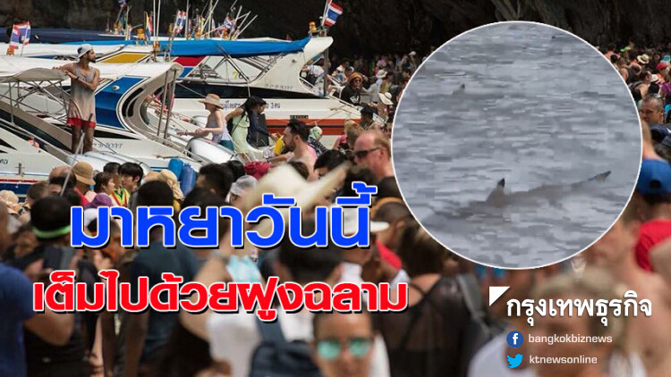 'ดร.ธรณ์' เผยมาหยาวันนี้ เต็มไปด้วยฝูงฉลาม