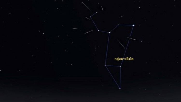 สดร. ชวนชมฝนดาวตกลีโอนิดส์ 'ฝนดาวตกลีโอนิดส์' 17-18 พ.ย.นี้ 