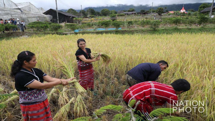 เรียนรู้วิถีเกษตรผ่านการท่องเที่ยวโครงการหลวง