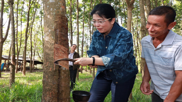 'เจ๊หน่อย' ลุยนครพนม รับฟังปัญหาสวนยาง