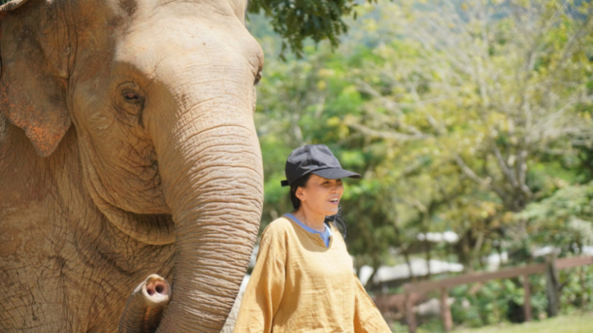 แสงเดือน ชัยเลิศ ผู้สร้างที่อยู่ช้างดีที่สุด 1 ใน 10 ของโลก