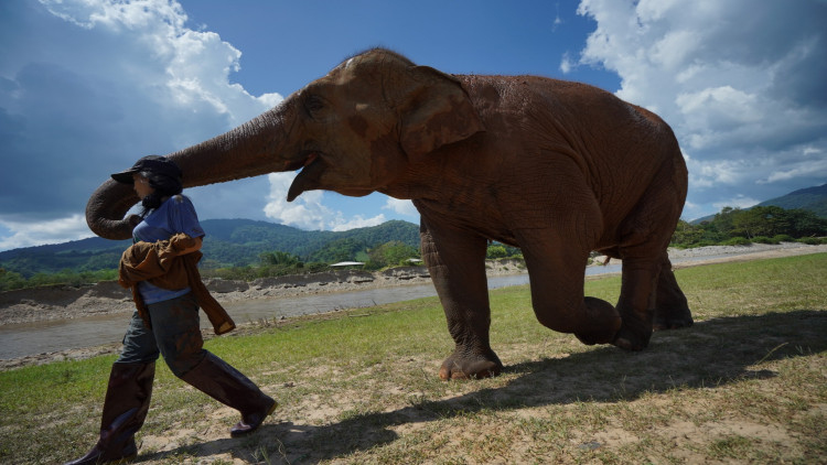 แสงเดือน ชัยเลิศ ผู้สร้างที่อยู่ช้างดีที่สุด 1 ใน 10 ของโลก