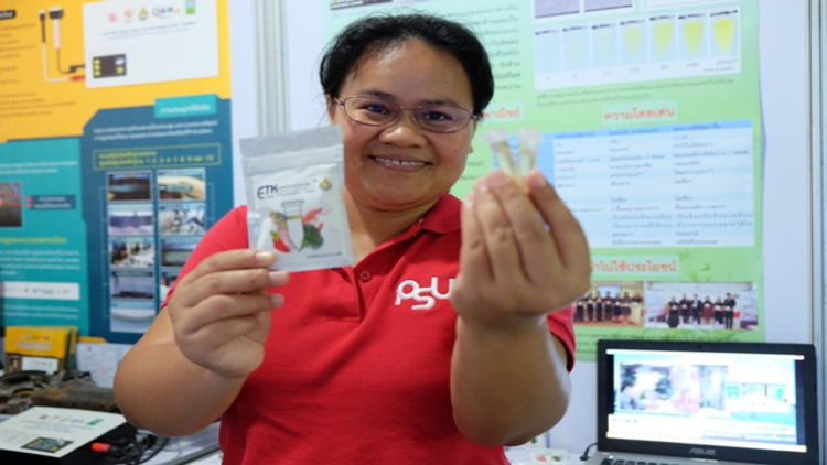 ชุดตรวจฟอร์มาลิน  เทคโนฯจากแล็บสู่ห้าง